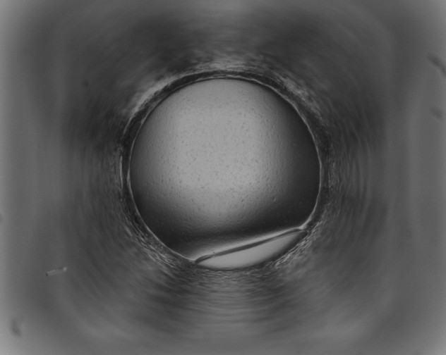 X0000097891214200803281238