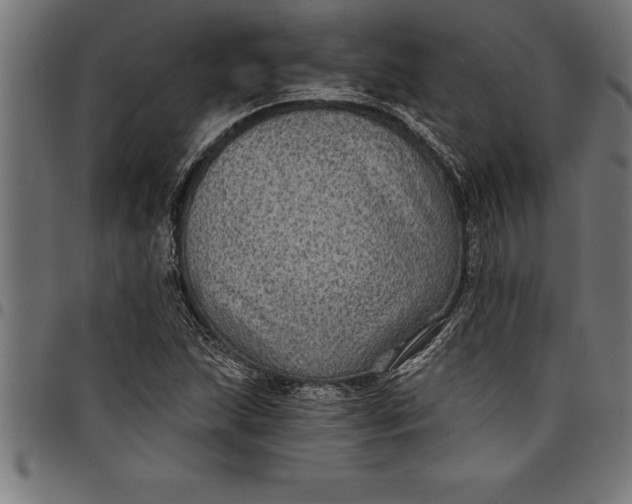 X0000097891215200803281238