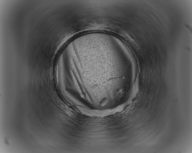 X0000097891216200803281238