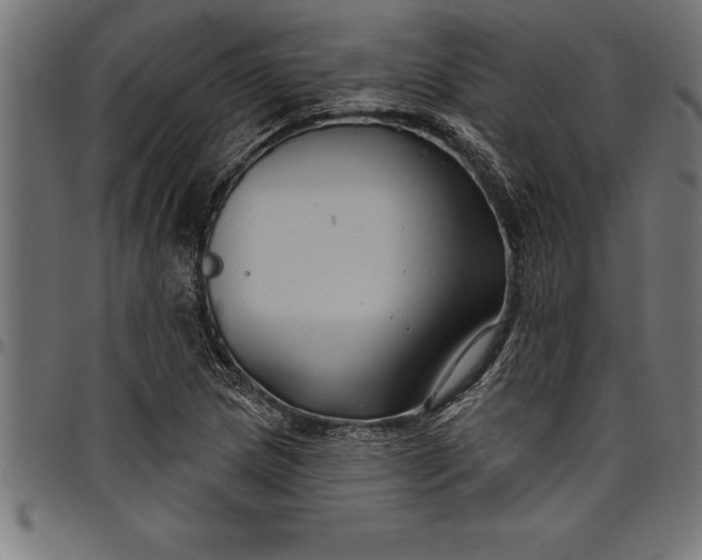 X0000097891217200803281238