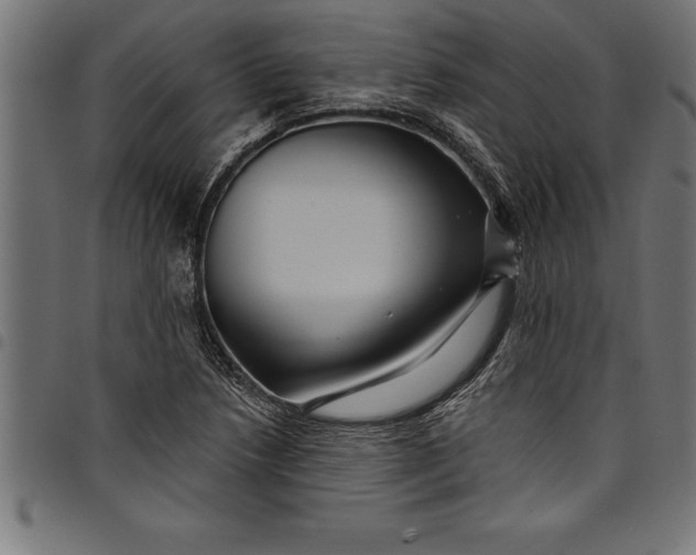 X0000097891218200803281238