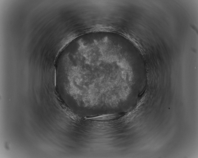 X0000097891219200803281238