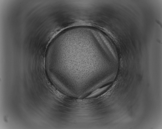 X0000097891220200803281238