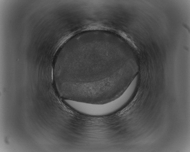 X0000097891221200803281238