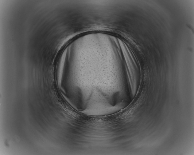 X0000097891222200803281238