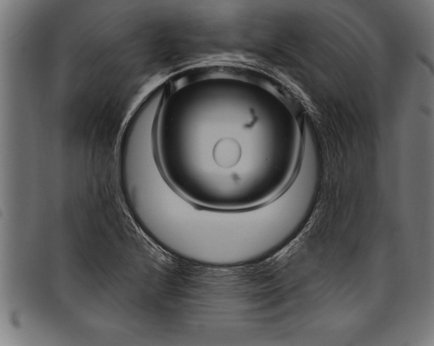 X0000097891224200803281238