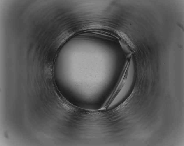 X0000097891225200803281238