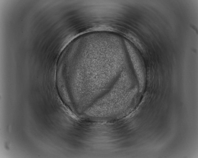 X0000097891228200803281238