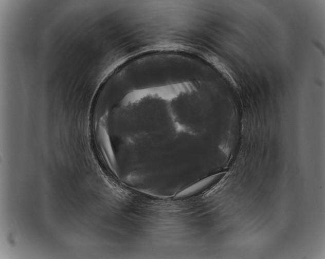 X0000097891229200803281238