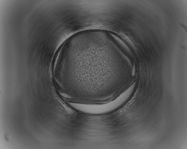 X0000097891230200803281238