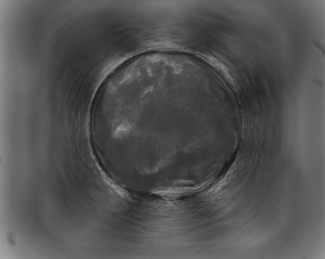 X0000097891231200803281238