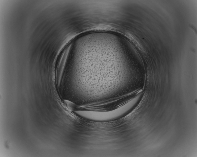 X0000097891232200803281238