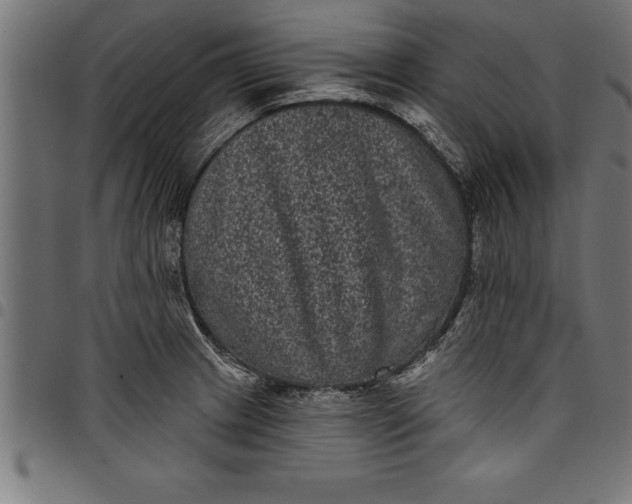 X0000097891233200803281238