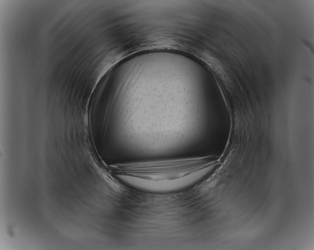 X0000097891234200803281238