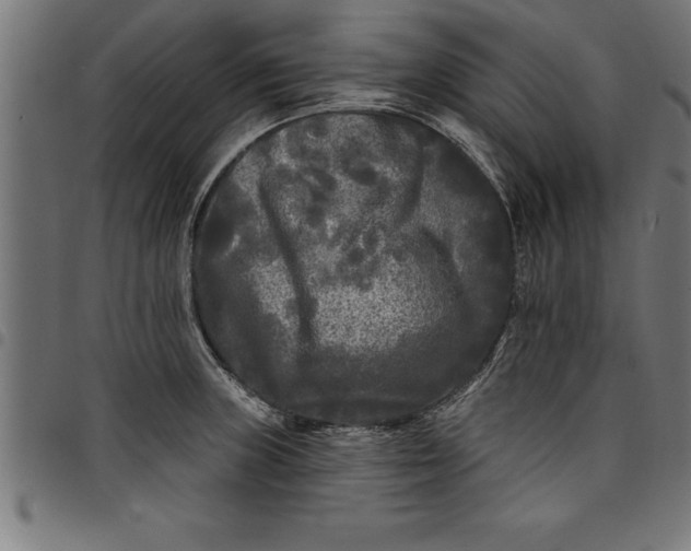 X0000097891235200803281238