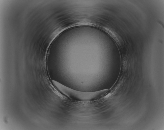 X0000097891236200803281238