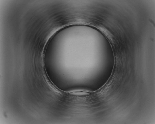 X0000097891238200803281239