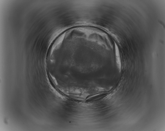 X0000097891239200803281239