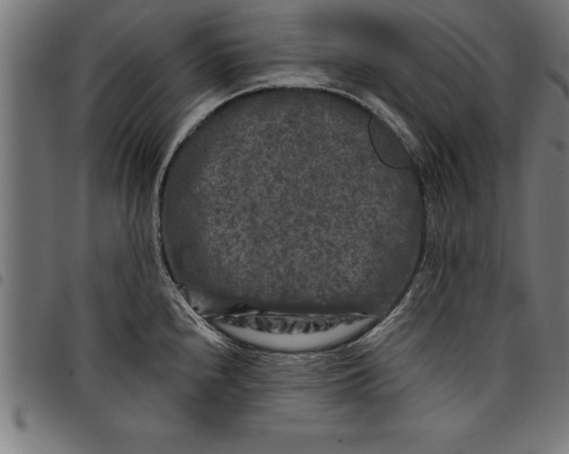 X0000097891240200803281239