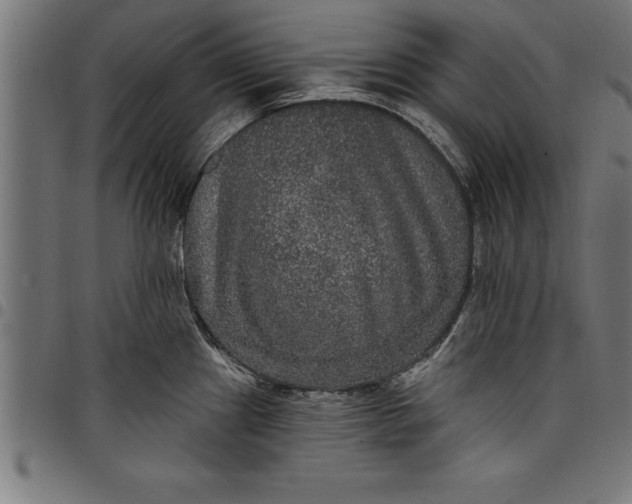 X0000097891241200803281239