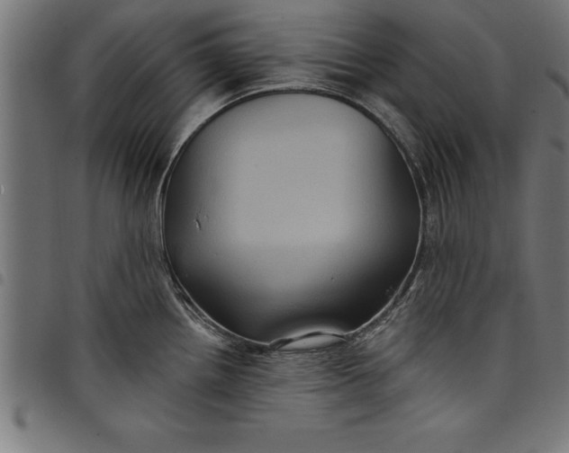 X0000097891242200803281239