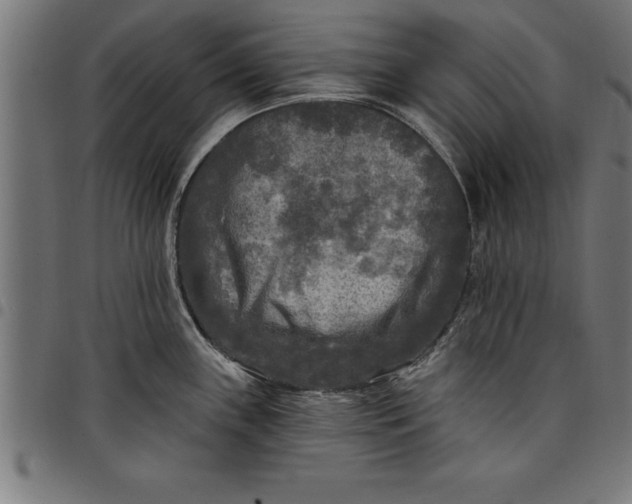 X0000097891243200803281239