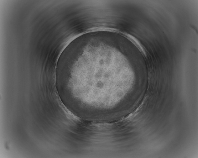 X0000097891244200803281239