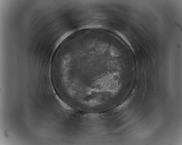 X0000097891245200803281239