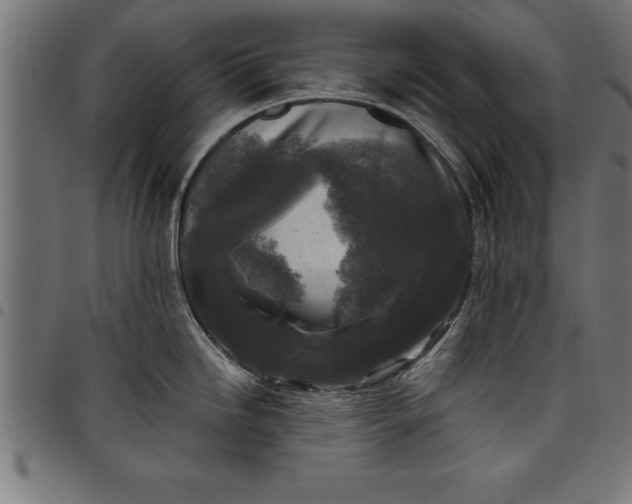 X0000097891246200803281239