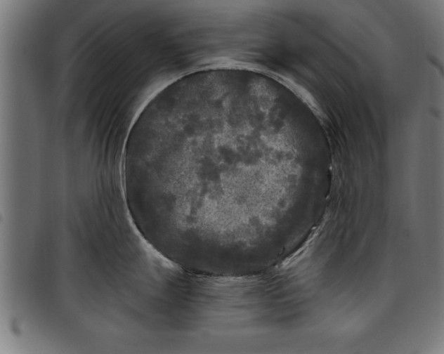 X0000097891247200803281239