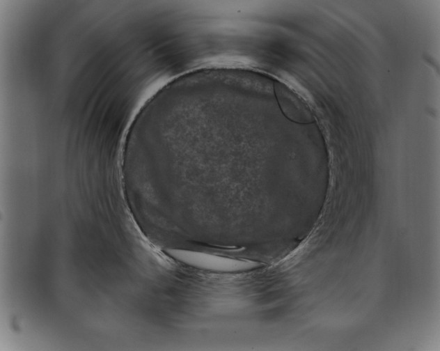 X0000097891248200803281239