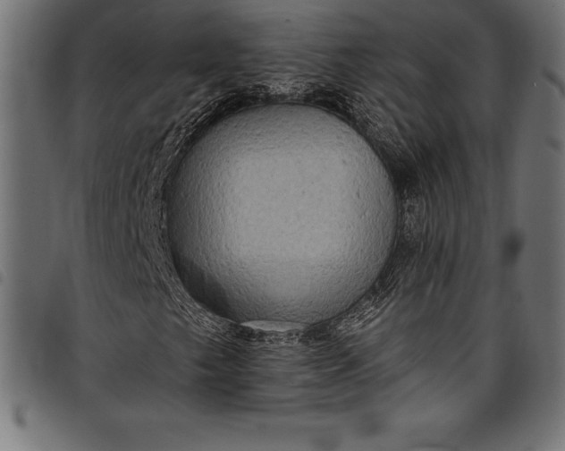 X0000097891249200803281238