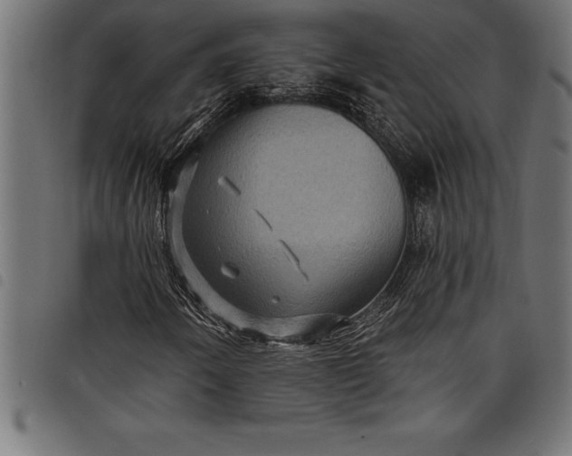 X0000097891250200803281238