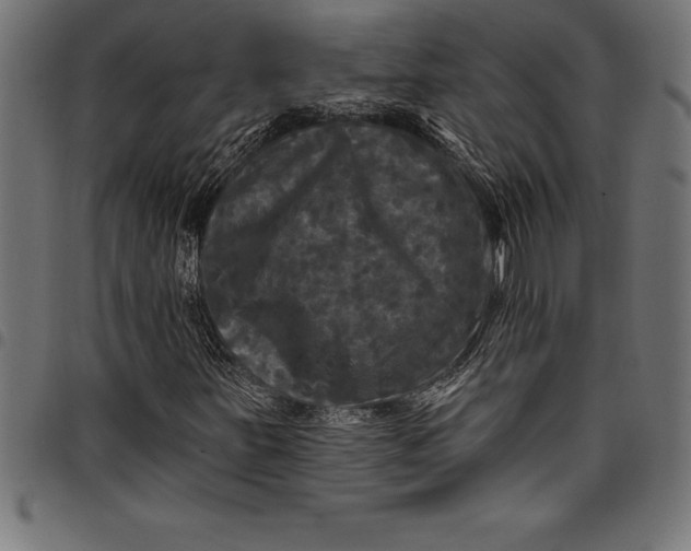 X0000097891251200803281238