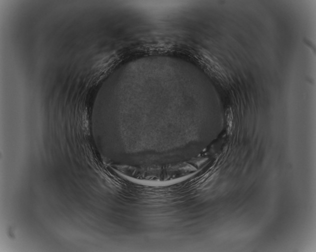 X0000097891252200803281238