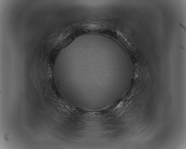 X0000097891253200803281238