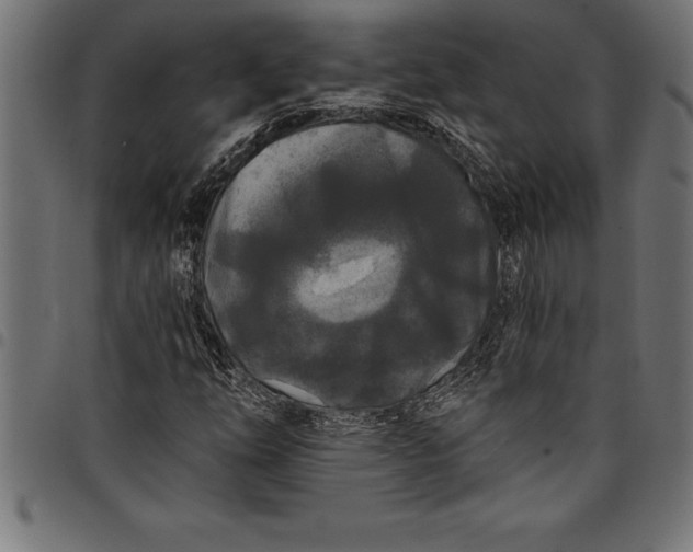 X0000097891254200803281238