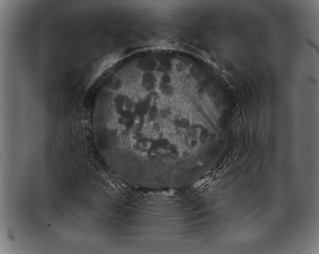 X0000097891255200803281238