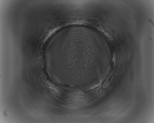 X0000097891256200803281238