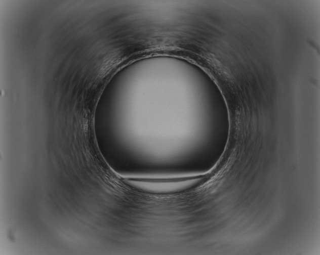 X0000097891257200803281238