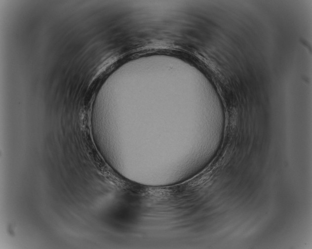 X0000097891258200803281238