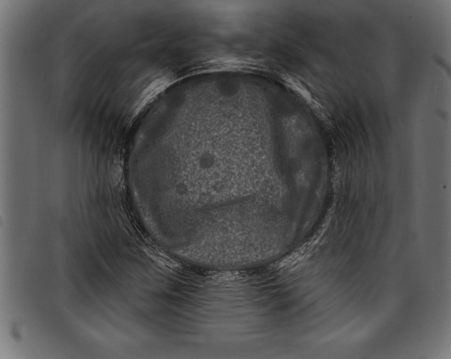 X0000097891259200803281238