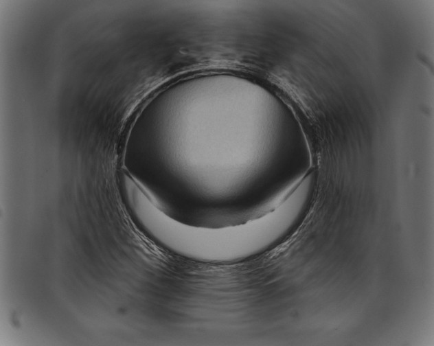 X0000097891260200803281238