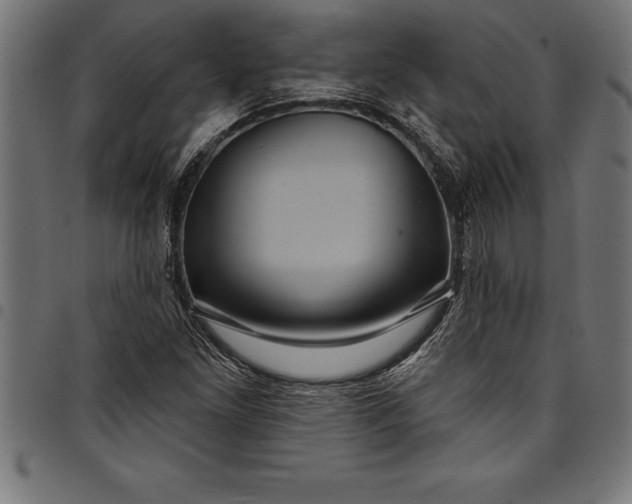 X0000097891261200803281238