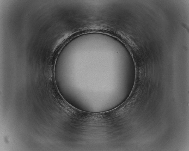 X0000097891262200803281238