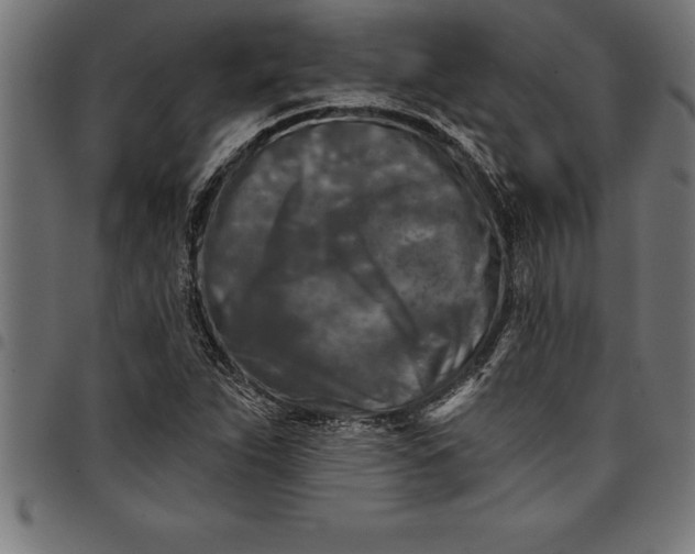 X0000097891263200803281238