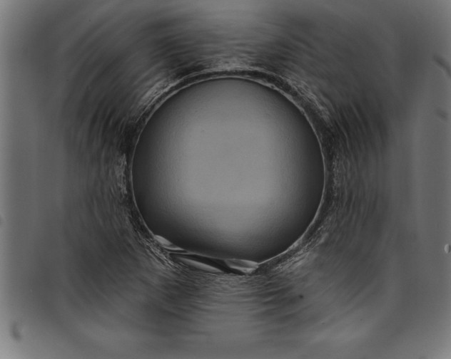 X0000097891265200803281238