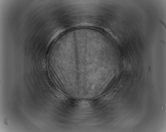 X0000097891266200803281238