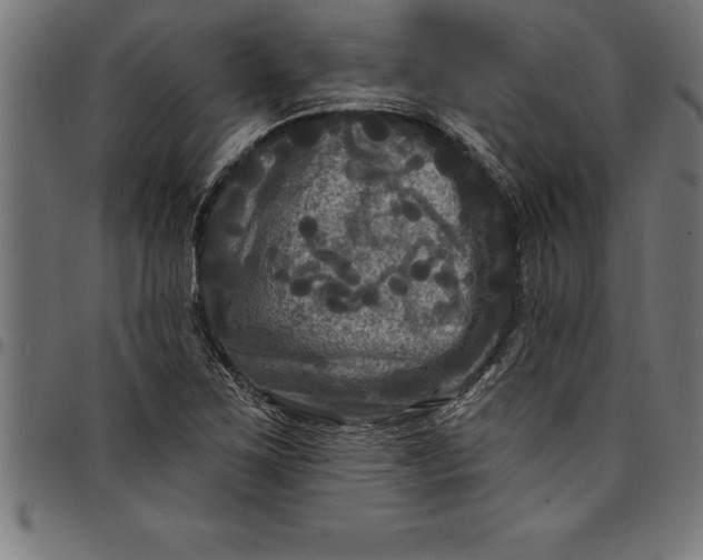 X0000097891267200803281238