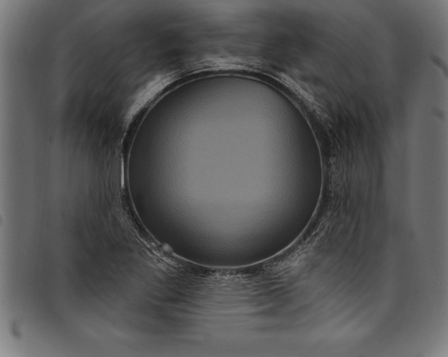 X0000097891269200803281238